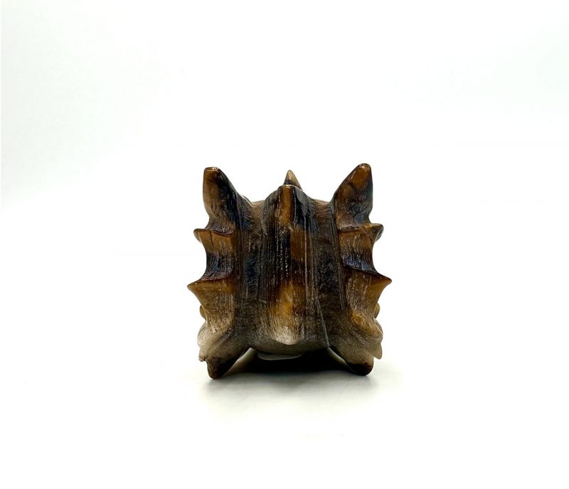 vertus oeil de tigre