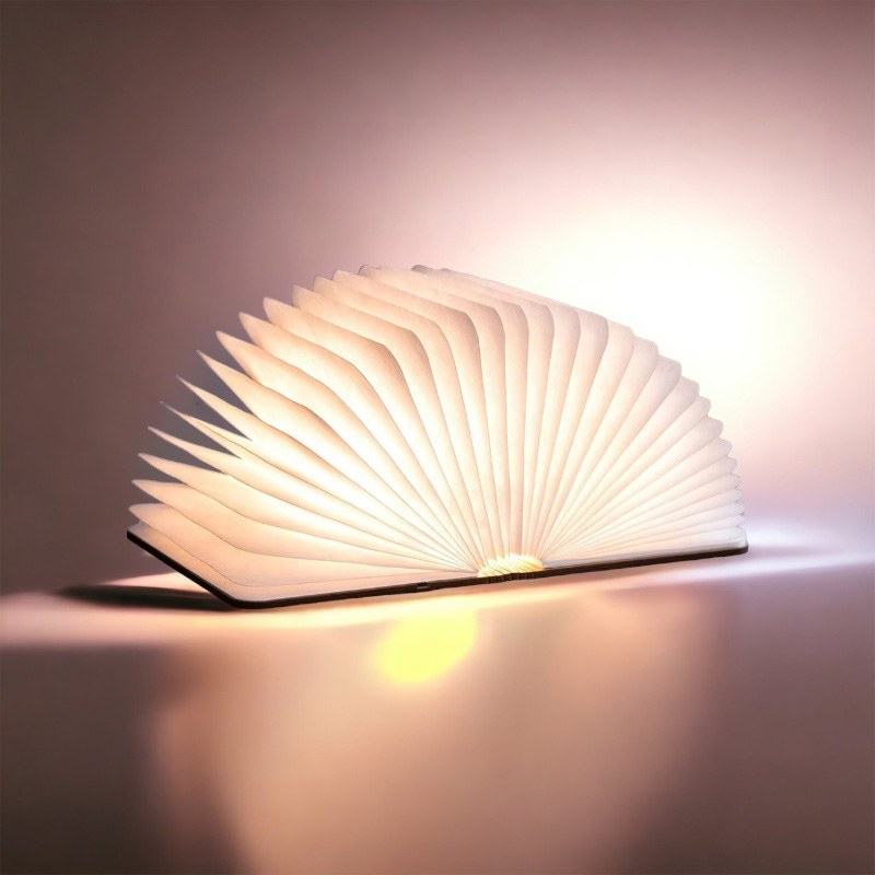 Lampe livre lumineux magique